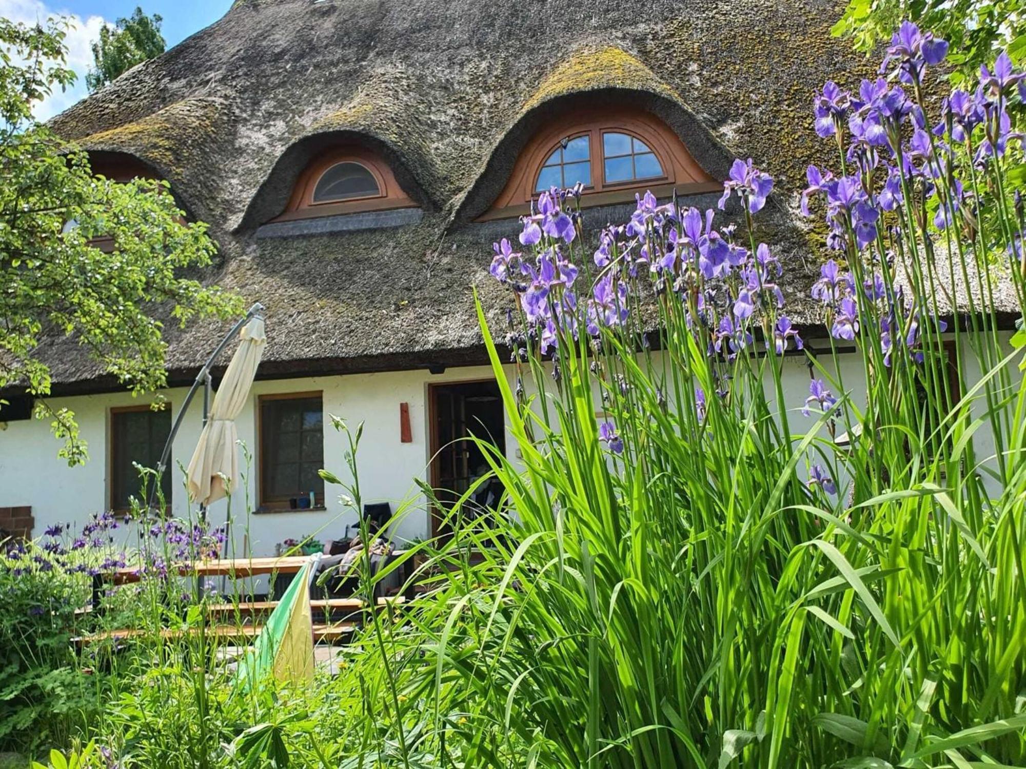 Renovated Apartment In The Old Farmhouse Krusenhagen Exterior photo